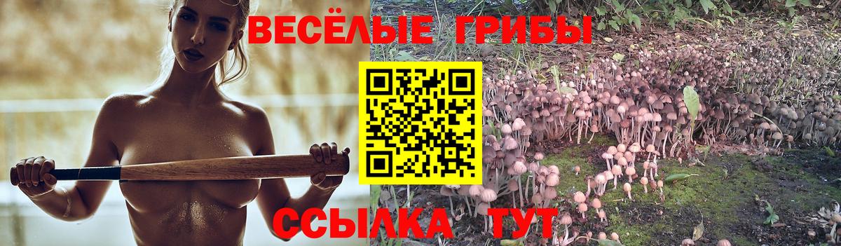 Уварово  Псилоцибиновые грибы прущие грибы  Вход с VPN 